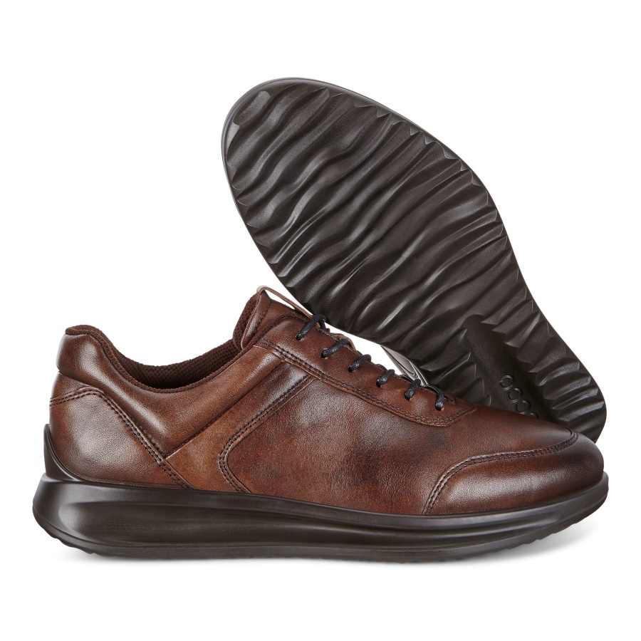 AQUET MENS ECCO Brown
