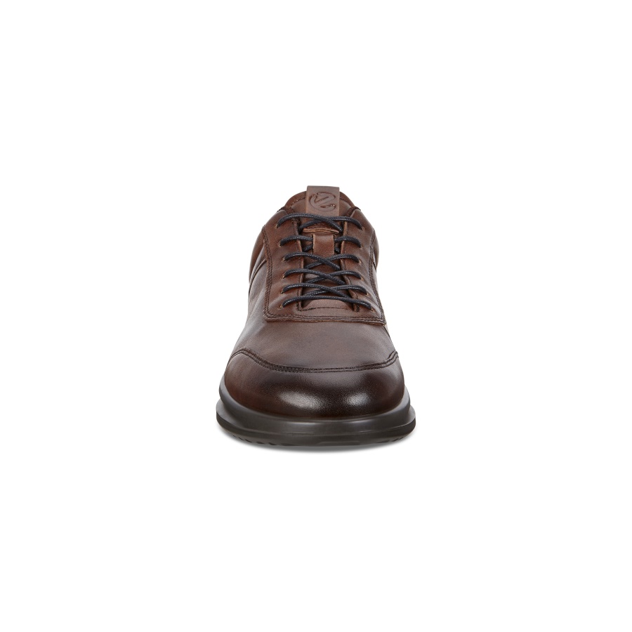 AQUET MENS ECCO Brown