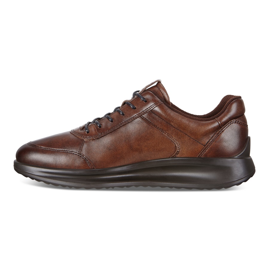 AQUET MENS ECCO Brown