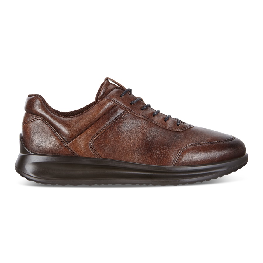 AQUET MENS ECCO Brown