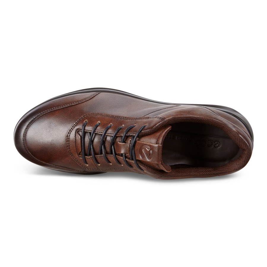 AQUET MENS ECCO Brown
