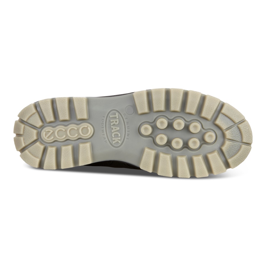 Black TRACK 25 ECCO