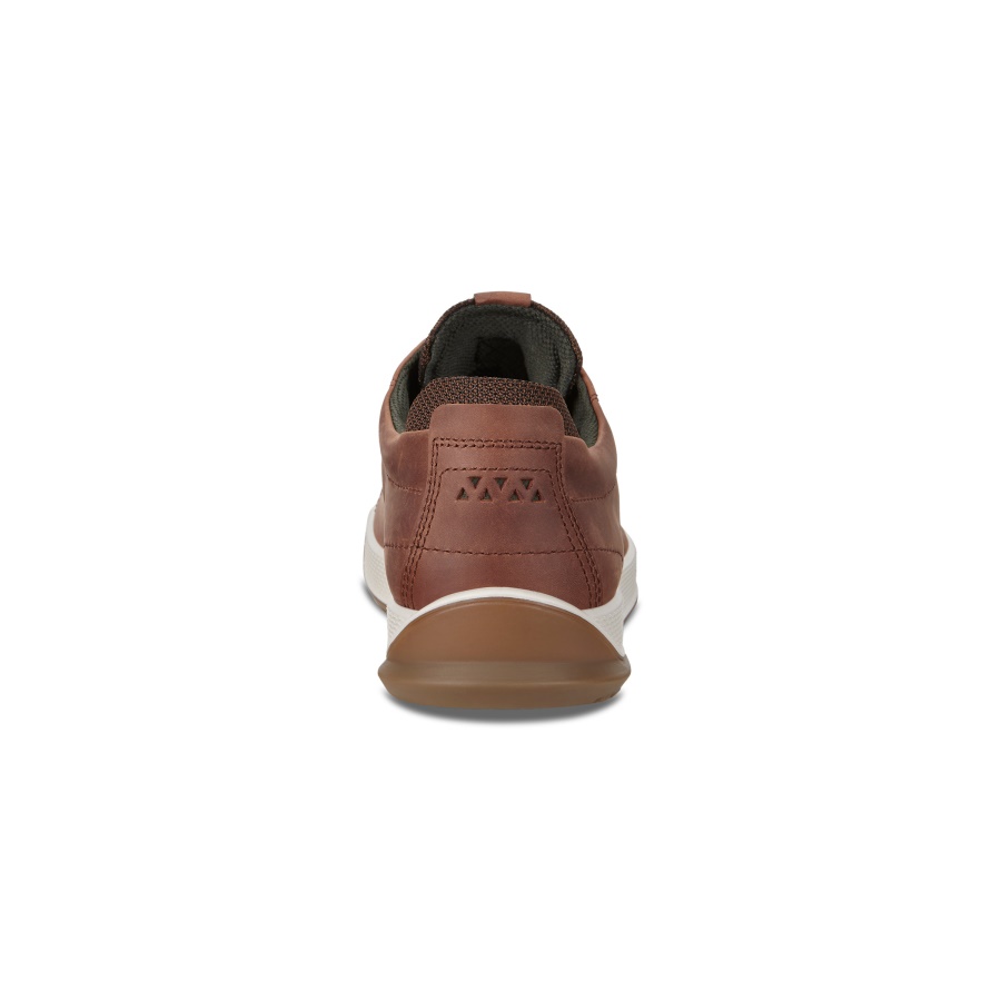 Brandy ECCO Byway Tred