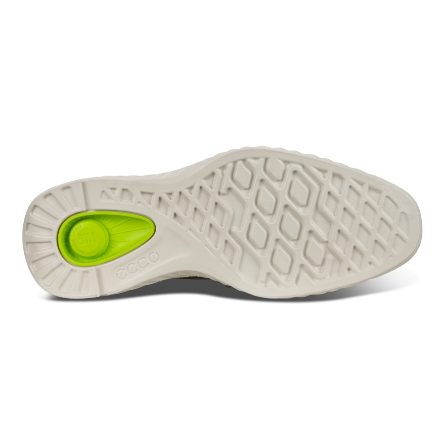 Dark ST.1 HYBRID LITE ECCO