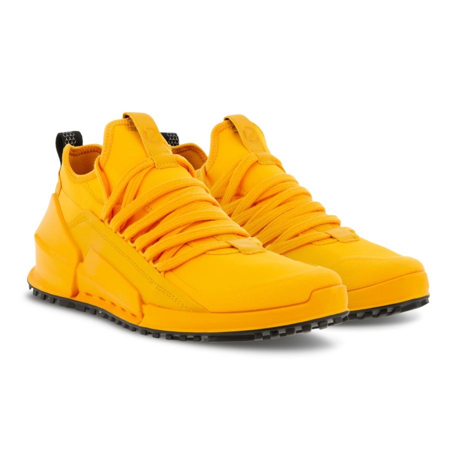 ECCO BIOM 2.0 M Fanta