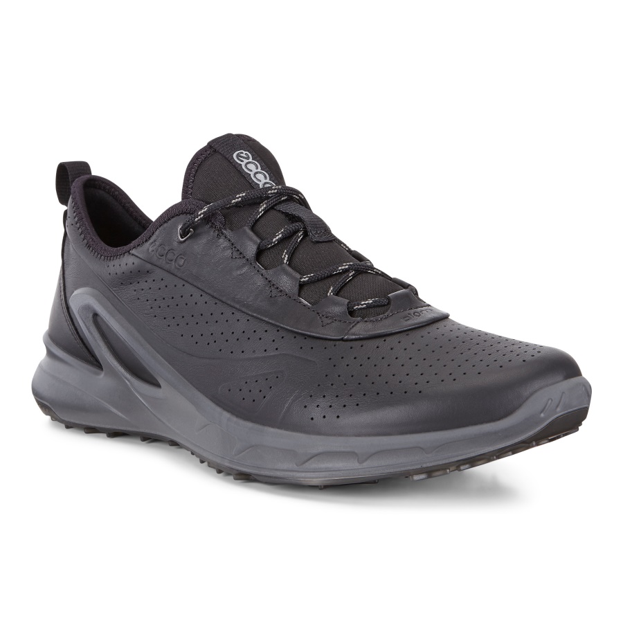 ECCO BIOM OMNIQUEST Black