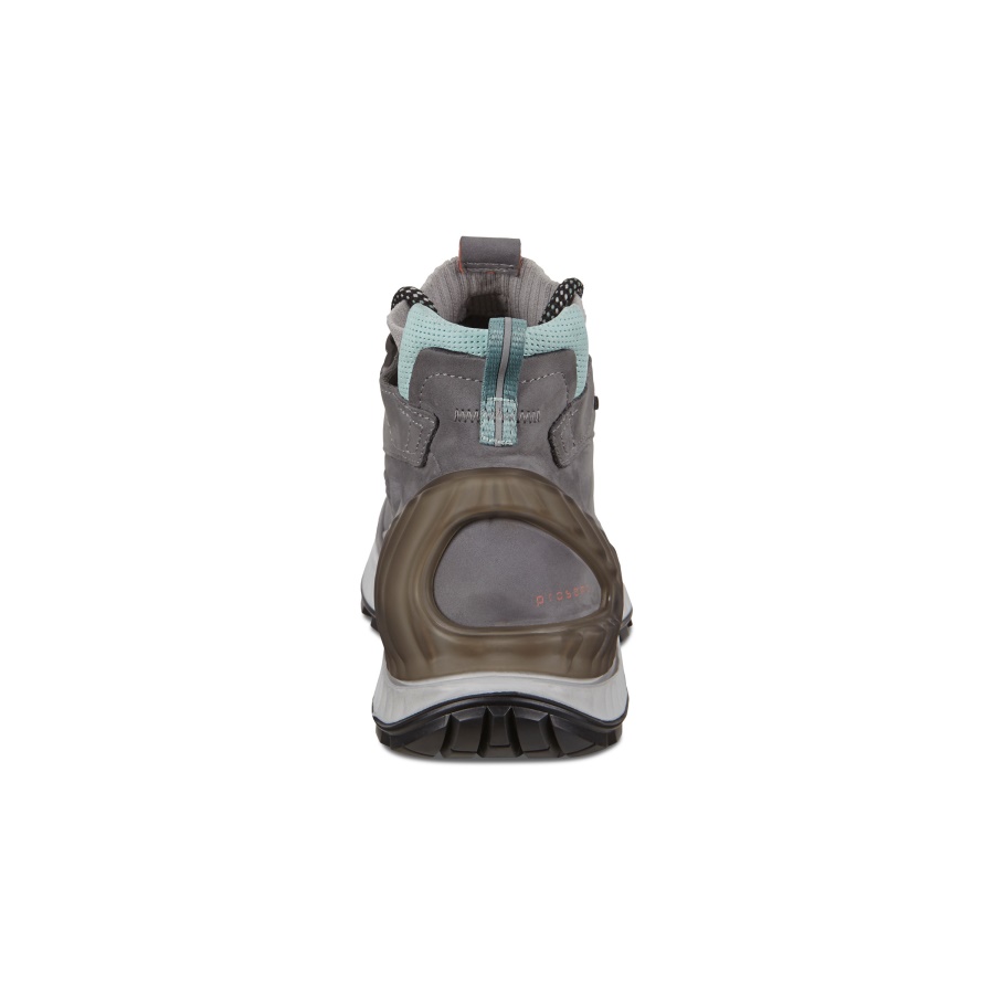 ECCO Titanium EXOHIKE W