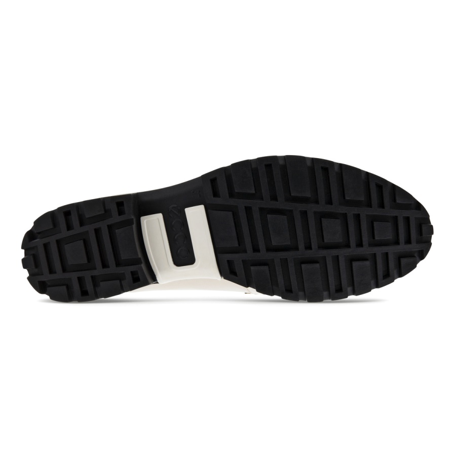 MODTRAY W Limestone ECCO