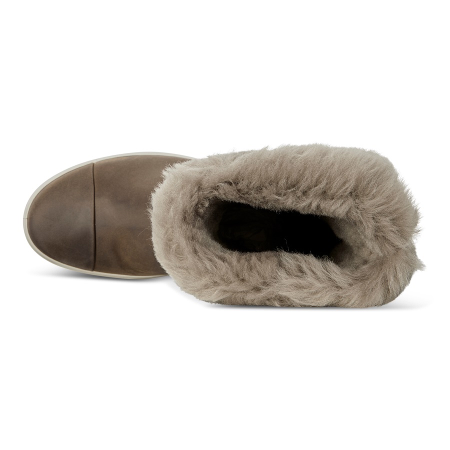 SOFT 7 TRED WOMENS ECCO Brown